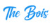 the bois merch shop