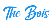 the bois merch shop